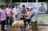 Sambut Idul Adha 1447 H, Kapolres Badung Tebar Kepedulian Melalui Penyerahan Hewan Qurban